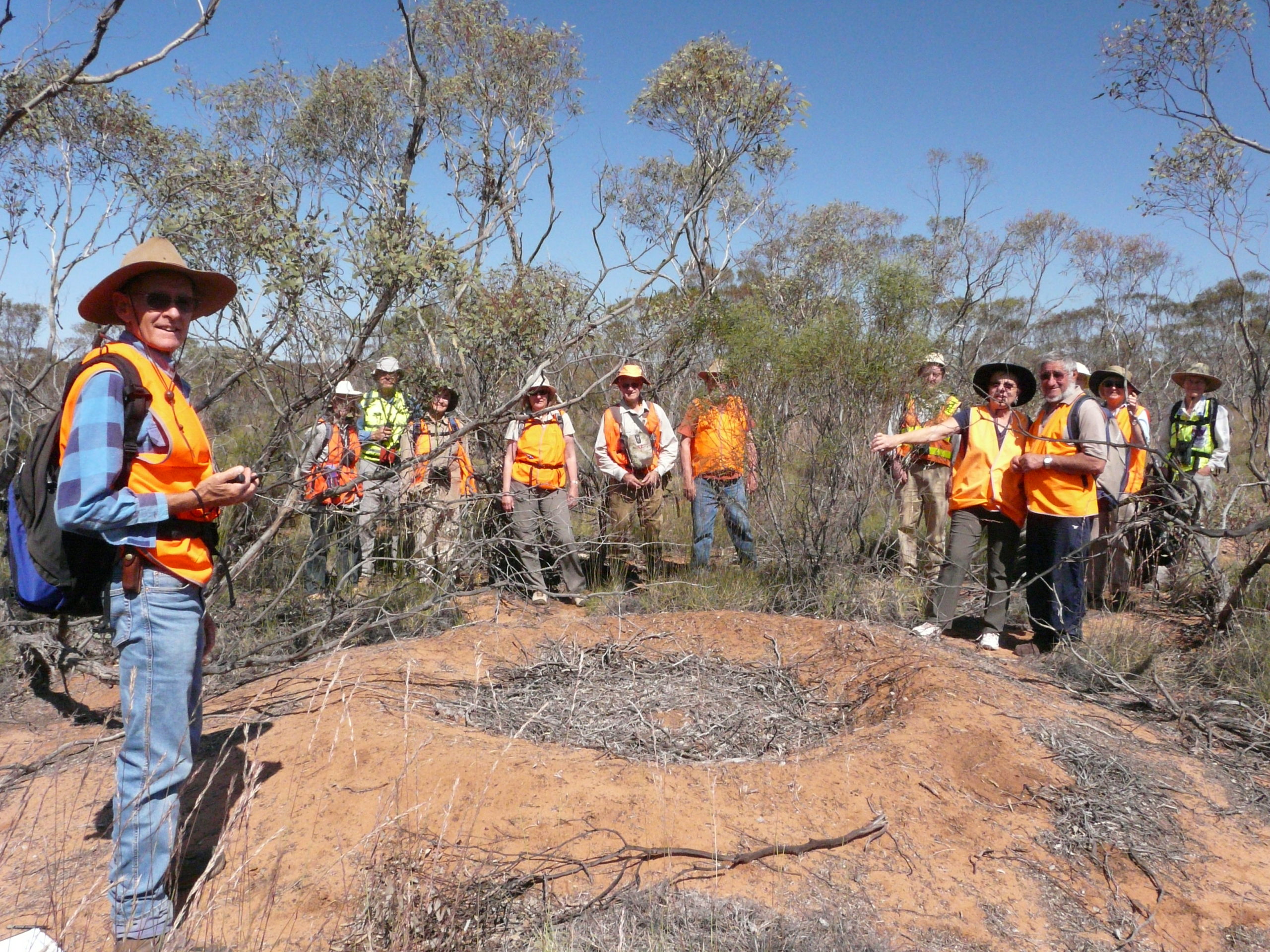 Malleefowl Nest Monitoring